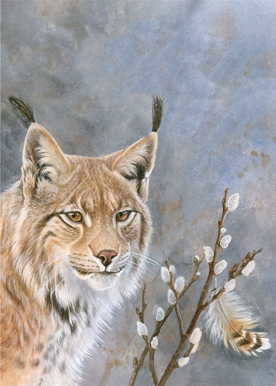 Ilves, pussilakanasetti