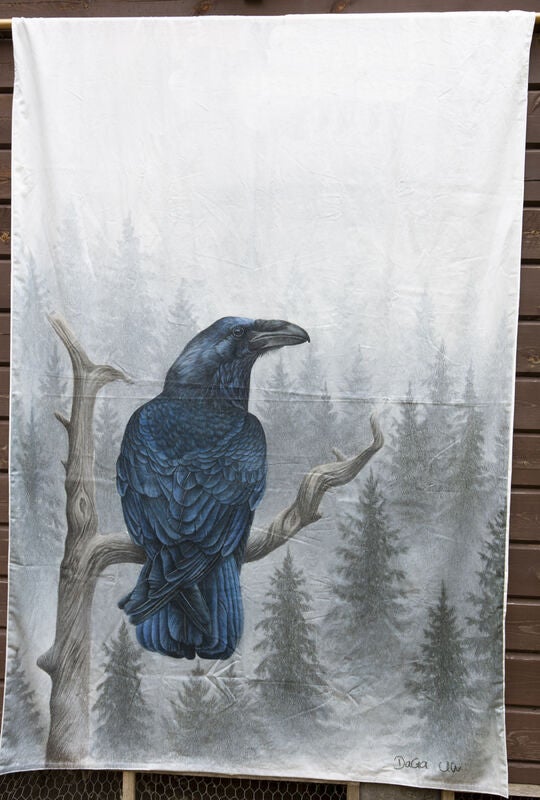 Korppi, pussilakanasetti